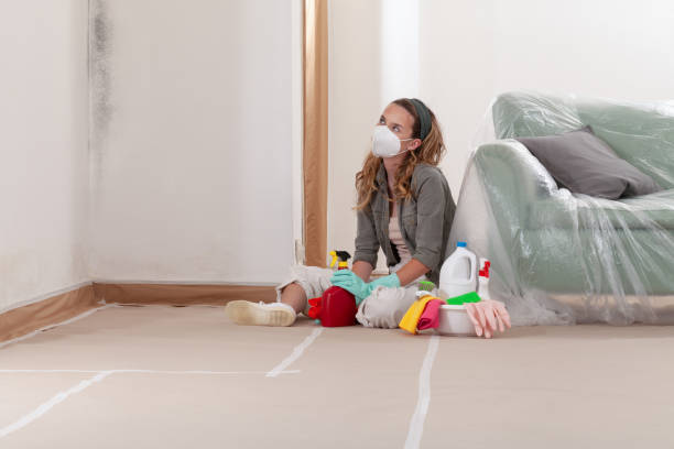 Reliable Mold Remediation contractor in Arnold, MD by 24 Hour Mold Removal